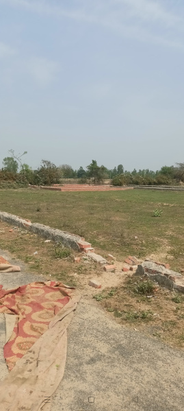  1250 Sq.ft. Residential Plot for Sale in Chinhat, Lucknow