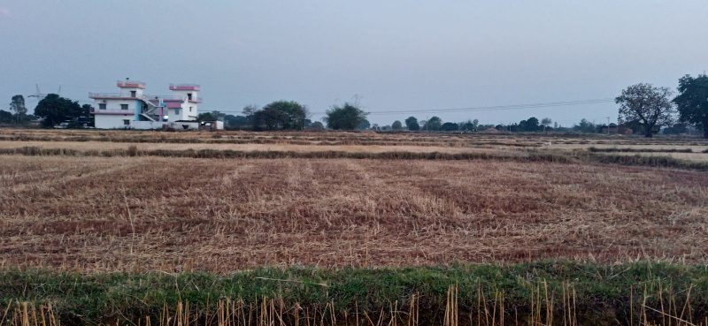  4 Bigha Residential Plot for Sale in Ghorawal, Sonebhadra