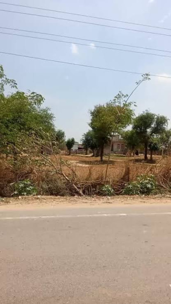  2628 Sq.ft. Commercial Land for Sale in Jeenmata, Sikar