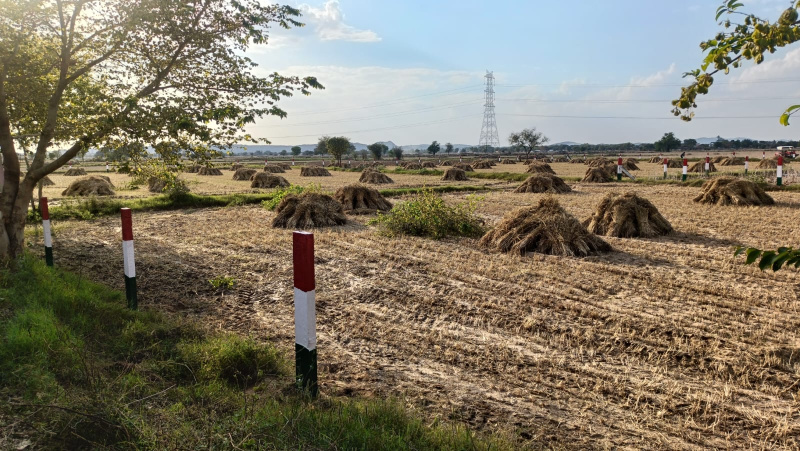  5 Acre Agricultural/Farm Land for Sale in Bawal, Rewari