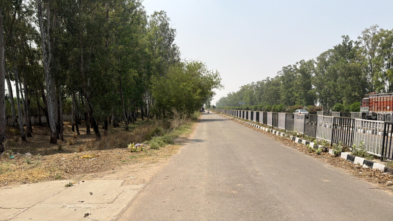 Nh 44, Rajpura photo 3