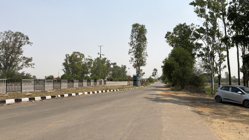 Nh 44, Rajpura photo 5