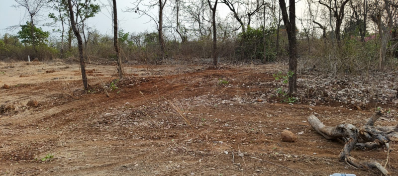  184 Guntha Industrial Land for Sale in Pali, Raigad