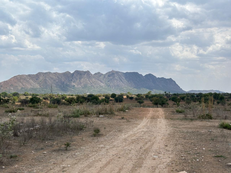  2121 Sq.ft. Residential Plot for Sale in Neem Ka Thana, Sikar