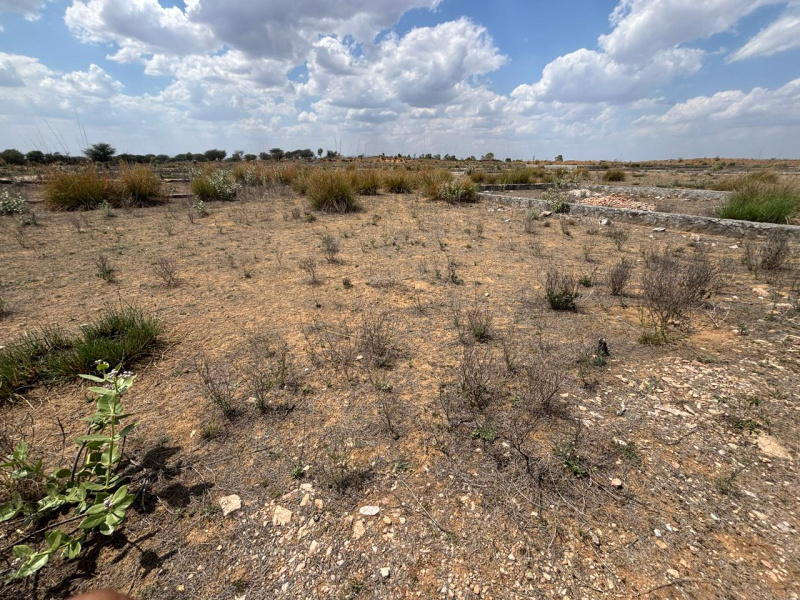  2121 Sq.ft. Residential Plot for Sale in Neem Ka Thana, Sikar