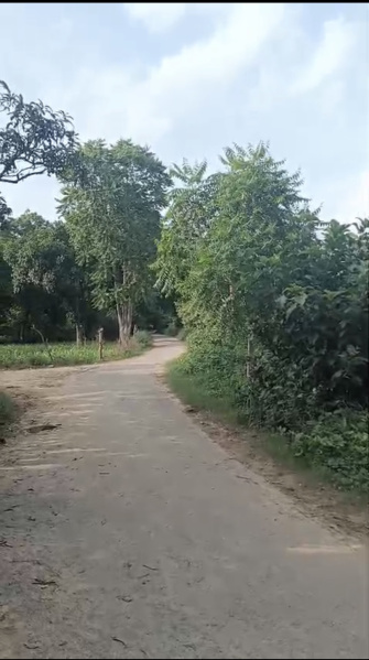 Faizabad Road, Barabanki photo 3