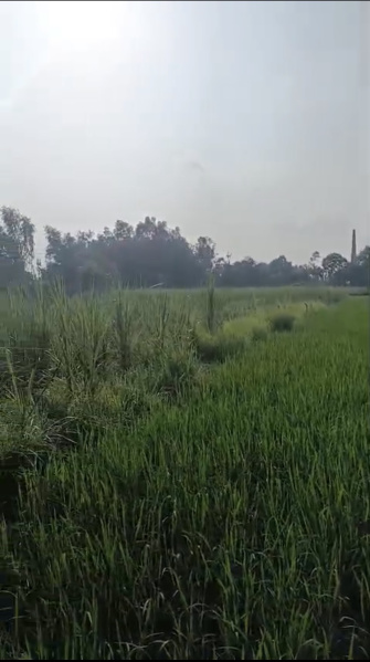 Faizabad Road, Barabanki photo 5
