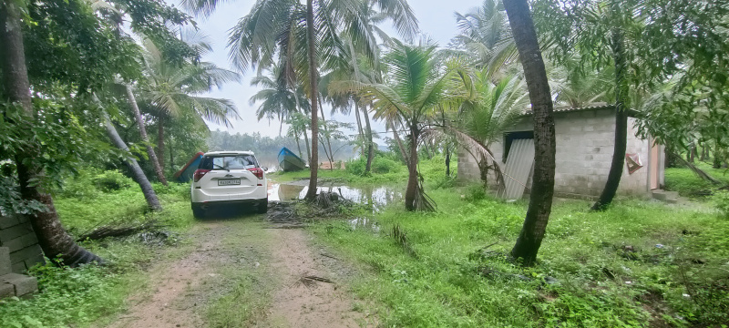 Brahmavar, Udupi photo 3