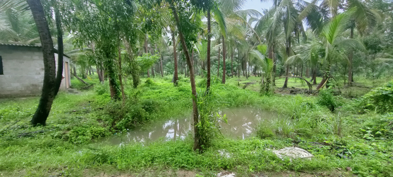 Brahmavar, Udupi photo 5
