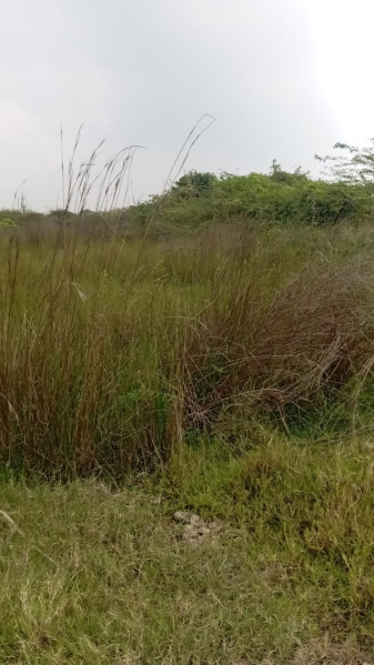  1200 Sq.ft. Residential Plot for Sale in Old Perungalathur, Chennai