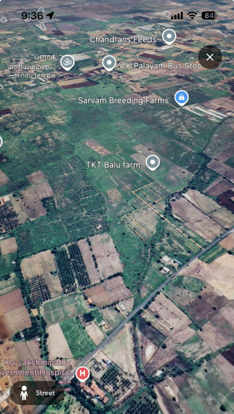  2 Acre Agricultural/Farm Land for Sale in Palladam, Tirupur