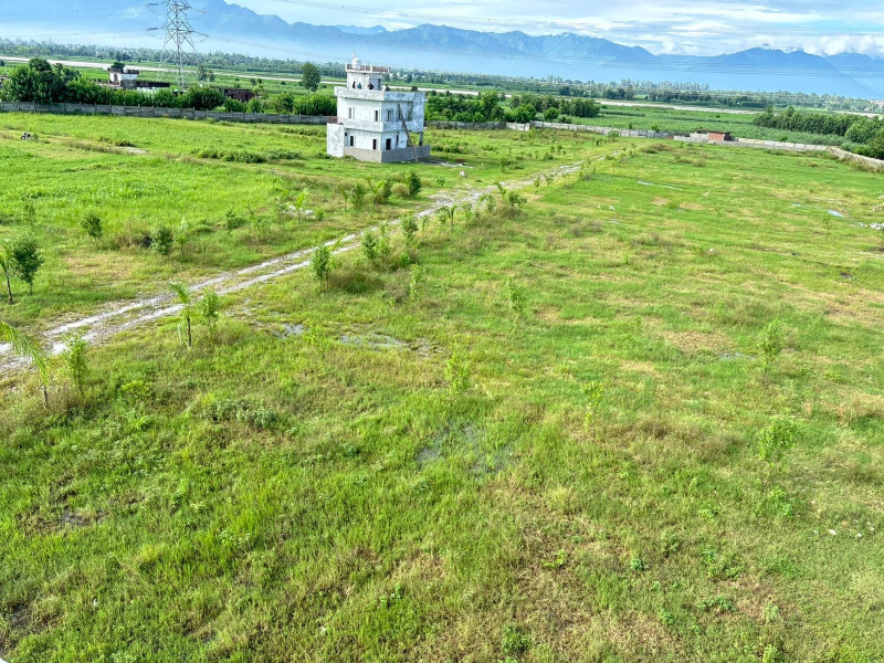  150 Sq. Yards Residential Plot for Sale in Badripur, Dehradun