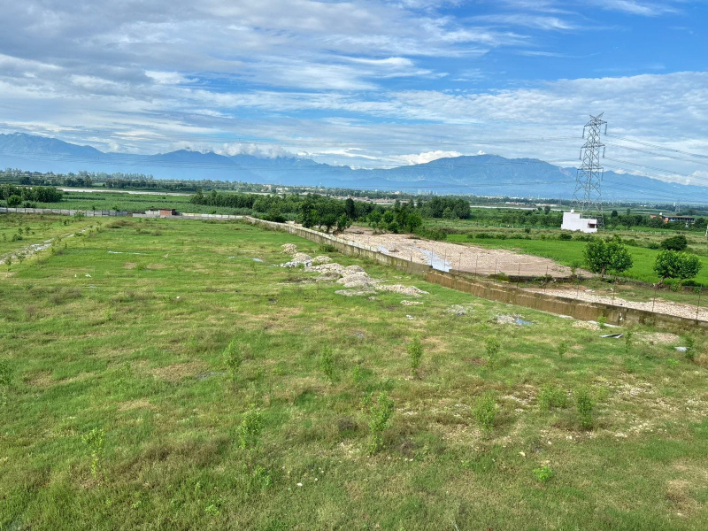  150 Sq. Yards Residential Plot for Sale in Badripur, Dehradun