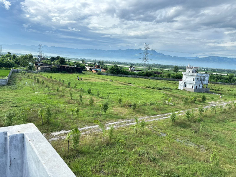  150 Sq. Yards Residential Plot for Sale in Badripur, Dehradun