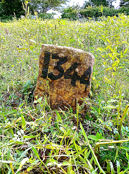  1365 Sq.ft. Residential Plot for Sale in JH Patel Nagar, Davanagere