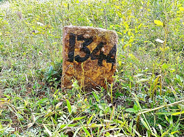  1365 Sq.ft. Residential Plot for Sale in JH Patel Nagar, Davanagere