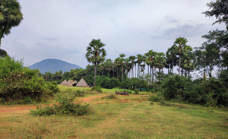  364 Cent Agricultural/Farm Land for Sale in Anakapalle, Visakhapatnam