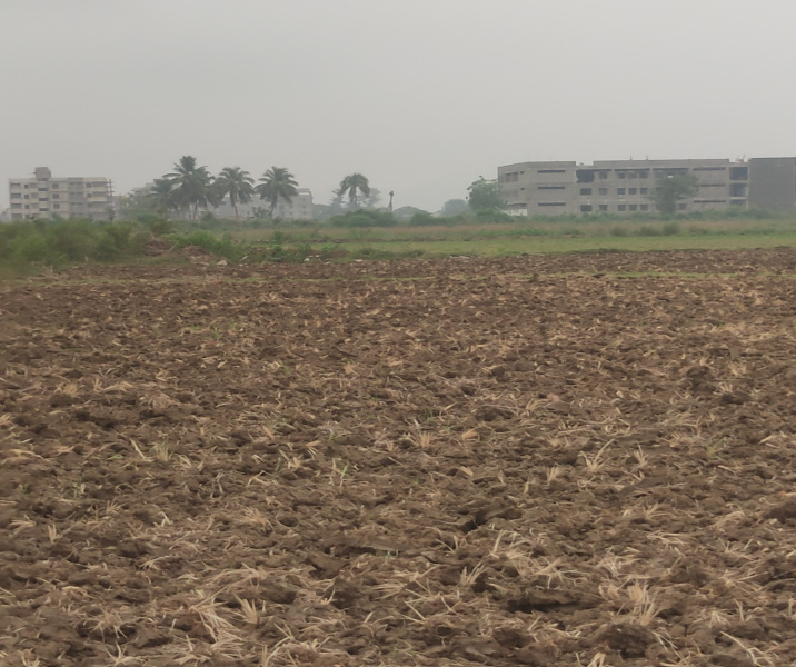  3 Ares Agricultural/Farm Land for Sale in Parvathipuram, Vizianagaram