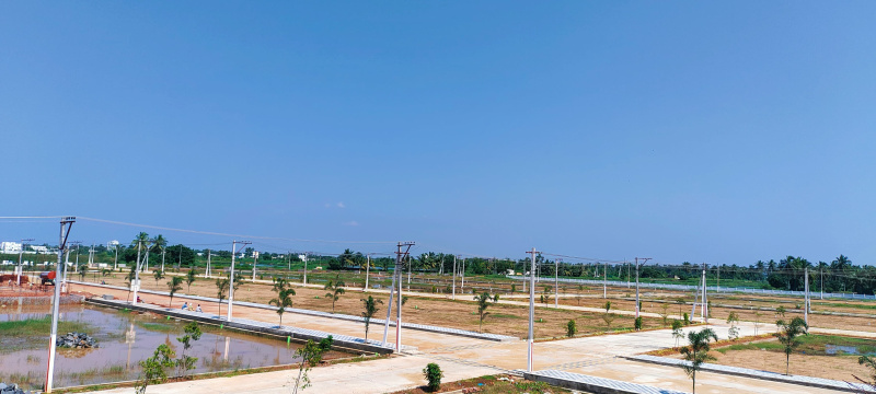 Allipuram, Nellore photo 4