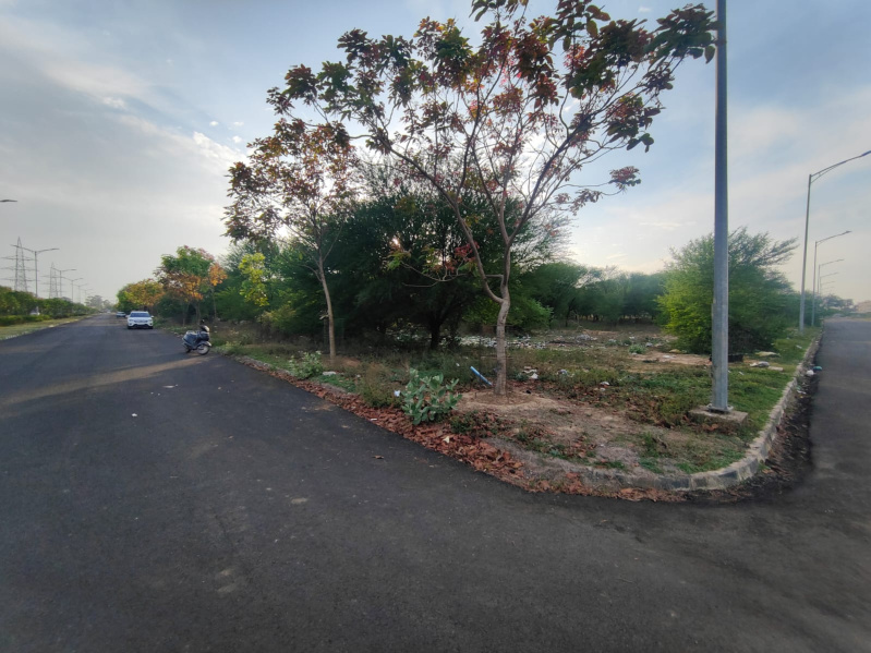 Sector 67, Mohali photo 4