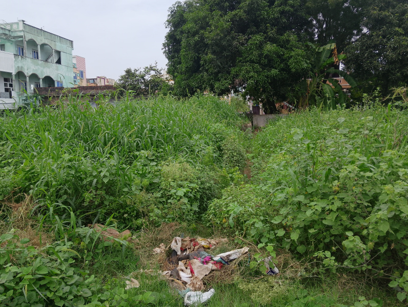 Buchireddypalem, Nellore photo 4