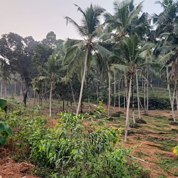 Hejamadi, Mangalore photo 2