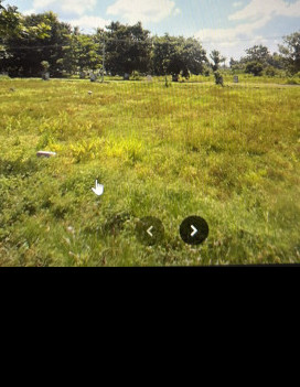  200 Sq. Yards Residential Plot for Sale in Kerala Nagar, Vizianagaram