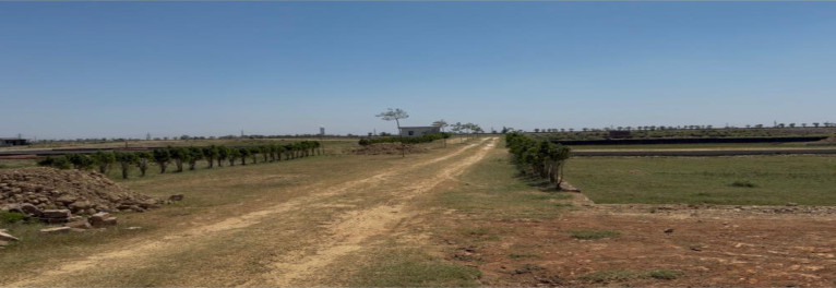  1500 Sq.ft. Residential Plot for Sale in Maniram, Gorakhpur