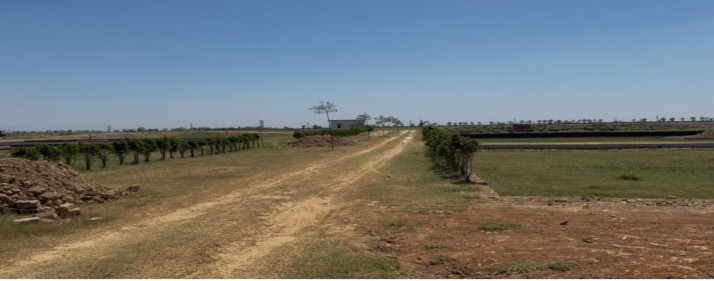  1500 Sq.ft. Residential Plot for Sale in Maniram, Gorakhpur