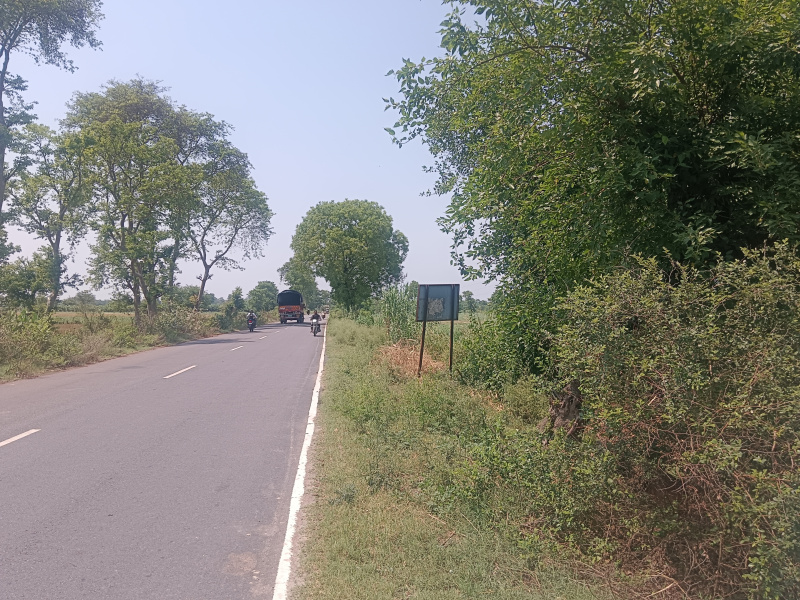 10 Acre Agricultural/Farm Land for Sale in Nighasan, Lakhimpur Kheri