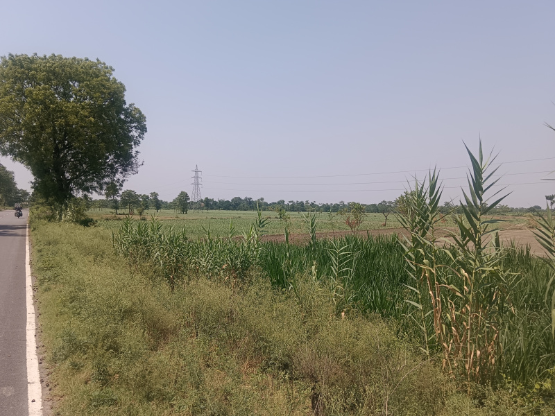  10 Acre Agricultural/Farm Land for Sale in Nighasan, Lakhimpur Kheri