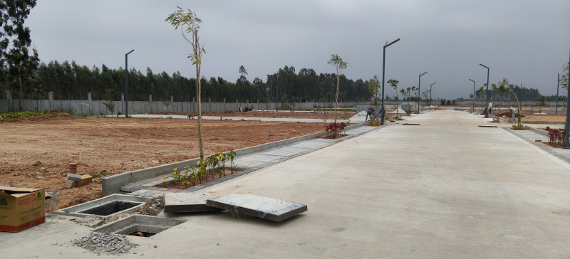  1200 Sq.ft. Residential Plot for Sale in Nelamangala, Bangalore
