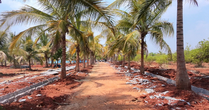 Hindupur, Anantapur photo 4