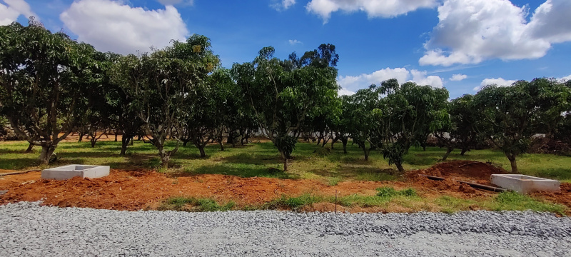  3600 Sq.ft. Residential Plot for Sale in Bagalur Road, Hosur