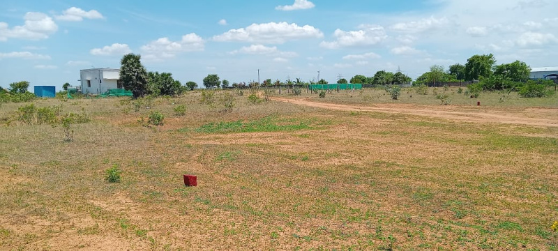  2400 Sq.ft. Residential Plot for Sale in Panjapur, Tiruchirappalli