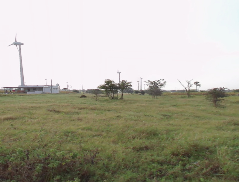  3 Acre Residential Plot for Sale in Palayam, Tirupur