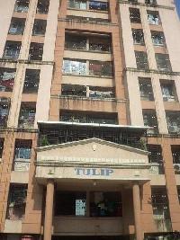 1 BHK Flat for Rent in Majiwada, Thane