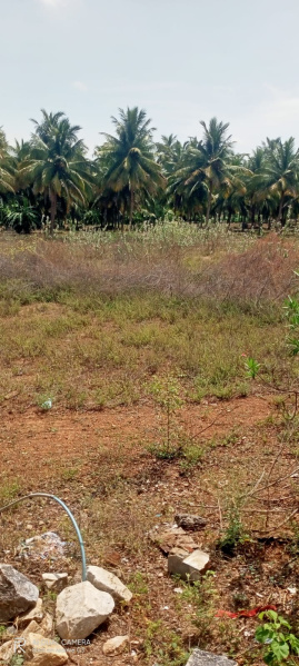 Kumarapalayam, Namakkal photo 5