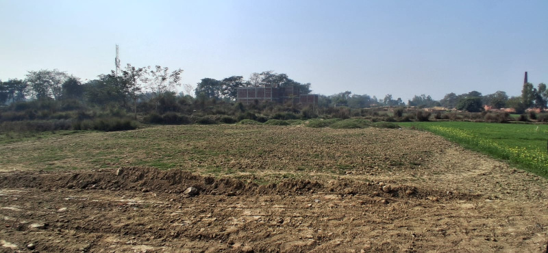  1000 Sq.ft. Residential Plot for Sale in Kasia Bazaar, Kushinagar