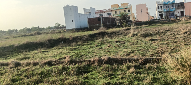  1800 Sq.ft. Commercial Land for Sale in Lochapada, Berhampur