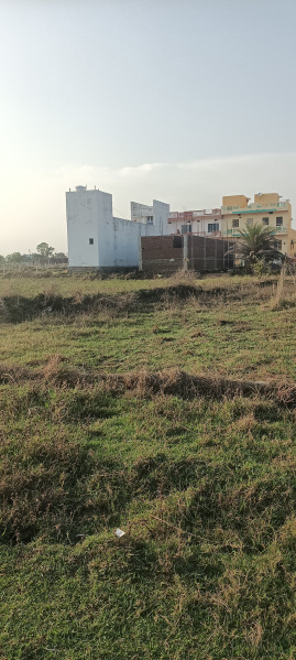  1800 Sq.ft. Commercial Land for Sale in Lochapada, Berhampur