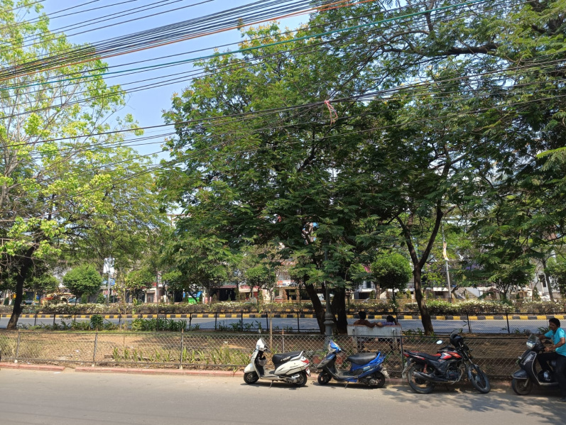 Veterinary Colony, Vijayawada photo 4