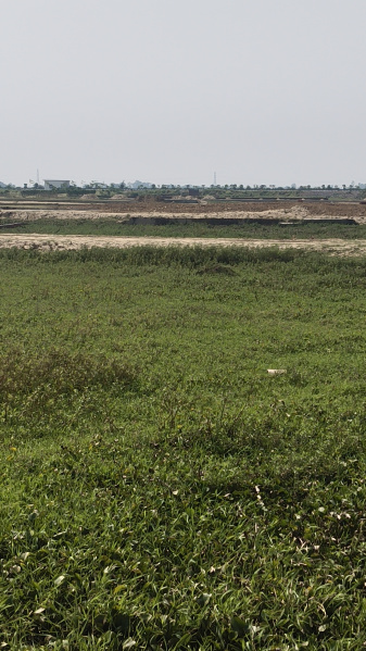  1000 Sq.ft. Residential Plot for Sale in Maniram, Gorakhpur