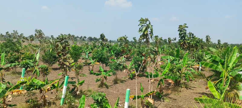  9600 Sq.ft. Agricultural/Farm Land for Sale in Maduranthakam, Chengalpattu