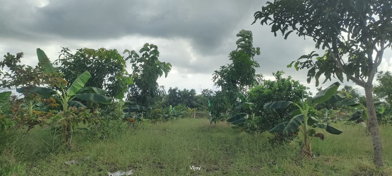  9600 Sq.ft. Agricultural/Farm Land for Sale in Maduranthakam, Chengalpattu