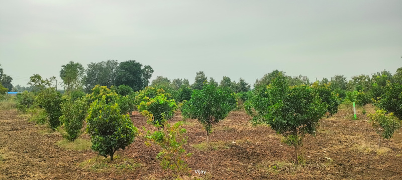  9600 Sq.ft. Agricultural/Farm Land for Sale in Maduranthakam, Chengalpattu
