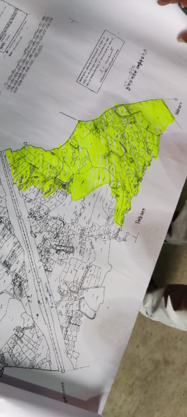 Diamond Harbour, South 24 Parganas photo 3