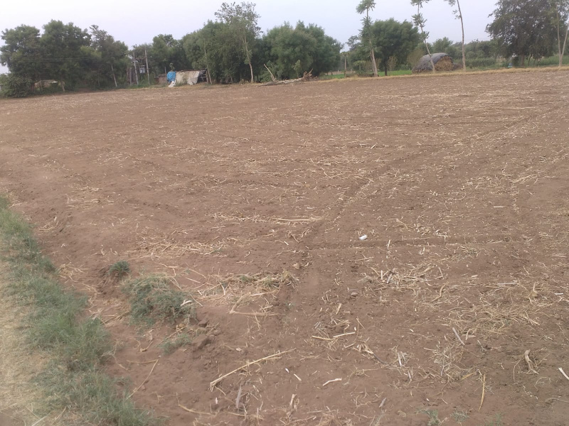 Kheralu, Mehsana photo 4