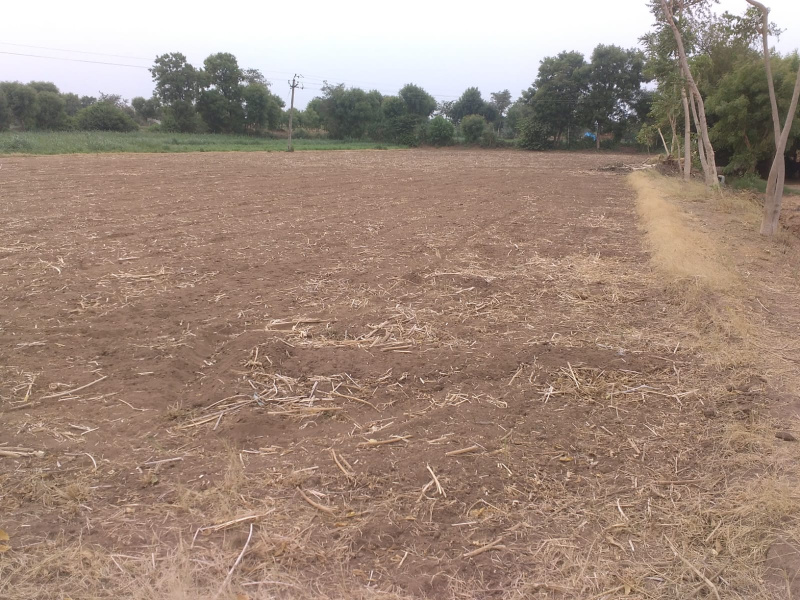 Kheralu, Mehsana photo 2
