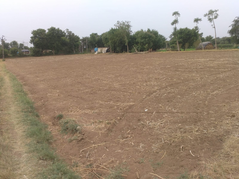Kheralu, Mehsana photo 3